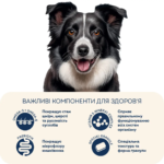 Повнораціонний сухий корм Home Food для дорослих собак DOG ADULT MEDIUM/MAXI Для активних собак і юніорів Ягнятина з рисом 1,6 кг - Зображення 5