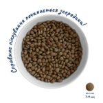 Повнораціонний сухий корм Home Food для цуценят PUPPY MINI Гіпоалергенний Ягня з рисом 10 кг - Зображення 3