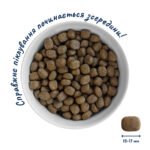 Повнораціонний сухий корм Home Food для цуценят PUPPY MEDIUM/MAXI Гіпоалергенний Форель з рисом 1,6 кг - Зображення 3