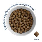 Повнораціонний сухий корм Home Food для дорослих собак DOG ADULT MEDIUM/MAXI Беззерновий гіпоалергенний М'ясо качки з нутом 1,6 кг - Зображення 3