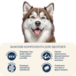Повнораціонний сухий корм Home Food для дорослих собак DOG ADULT MAXI Гіпоалергенний Форель з рисом 3 кг - Зображення 5