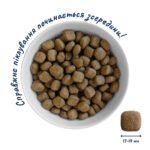 Повнораціонний сухий корм Home Food для дорослих собак DOG ADULT MAXI Здорова шкіра та блиск шерсті Індичка та Лосось 3 кг - Зображення 3