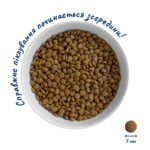 Повнораціонний сухий корм Home Food для кошенят KITTEN Для кошенят Свіжа курка 0,4 кг - Зображення 3