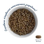 Повнораціонний сухий корм Home Food для дорослих собак DOG ADULT MINI/MEDIUM Гіпоалергенний Телятина з овочами 0,7 кг - Зображення 3