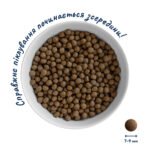 Повнораціонний сухий корм Home Food для дорослих собак DOG ADULT MINI Гіпоалергенний Форель з рисом 0,7 кг - Зображення 3