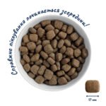 Сухий Корм Home Food Для дорослих собак великих порід Яловичина 10 кг - Зображення 3