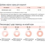 Повнораціонний Сухий Корм Home Food для кошенят Курочка з ягням 0,3 кг - Зображення 3