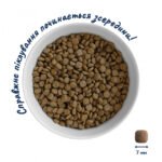 Повнораціонний Сухий Корм Home Food для кошенят Курочка з ягням 0,3 кг - Зображення 4
