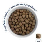 Сухий Корм Home Food Для дорослих собак середніх порід М'ясне асорті 0,3 кг - Зображення 3