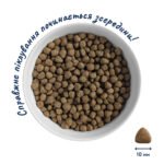 Сухий Корм Home Food Для дорослих собак малих порід М'ясне асорті 0,3 кг - Зображення 3