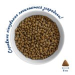 Повнораціонний сухий корм Home Food для котів CAT ADULT Здорова шкіра та блиск шерсті Індичка та лосось 1,6 кг - Зображення 4
