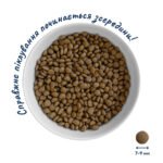 Повнораціонний сухий корм Home Food для дорослих собак DOG ADULT MINI Здорова шкіра та блиск шерсті Індичка та лосось 1,6 кг - Зображення 3