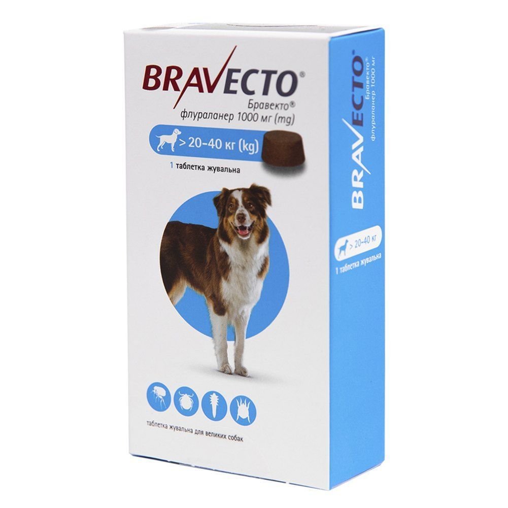 8713184146533 Таблетки від бліх та кліщів для собак Bravecto вагою від 20 до 40 кг, 1 шт - Зображення 1