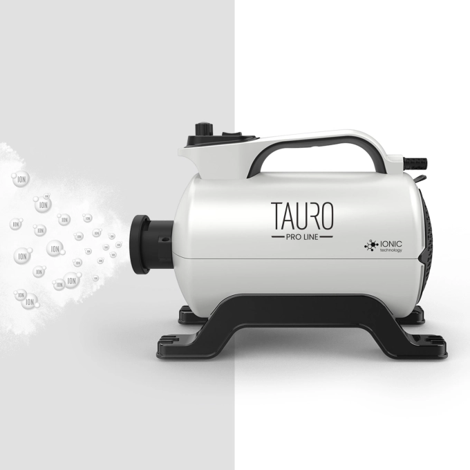 montaznaia-oblast-1 Стаціонарний фен для тварин Tauro Pro Line - Зображення 1